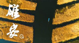 &ldquo;飛閱&rdquo;中國(guó)