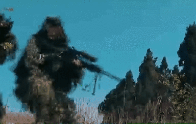 突入，擊斃！直擊武警特戰(zhàn)反劫持演練！