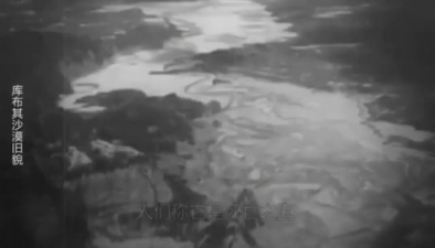 漠上花開！庫(kù)布其沙漠上演綠色奇跡