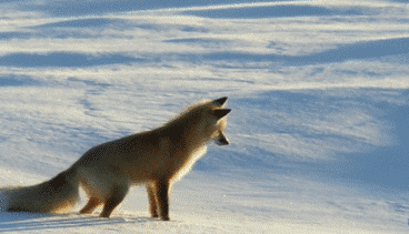 寒潮再襲 網(wǎng)友靈魂拷問(wèn)：這么冷為何還不下雪？