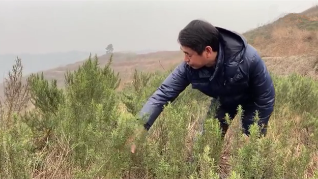 新春走基層｜脫貧后，駐村扶貧隊(duì)長在干啥？