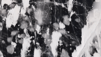 耐力比拼 俄羅斯&ldquo;冰風暴&rdquo;越野賽冰面開賽