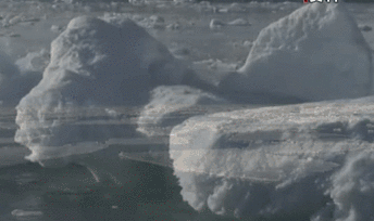 聯(lián)合國環(huán)境署發(fā)布全球環(huán)境報(bào)告：人類對自然的&ldquo;自殺式戰(zhàn)爭&rdquo;釀成三大危機(jī)