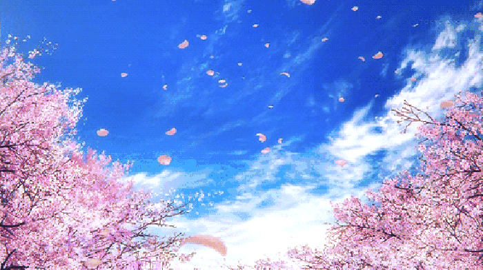 寧波這個地方早櫻花開成海，滿足你對春天的所有想象