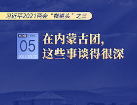 習(xí)近平2021兩會&ldquo;微鏡頭&rdquo;之三 3月5日 在內(nèi)蒙古團(tuán)，這些事談得很深