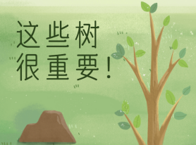 這些樹很重要！