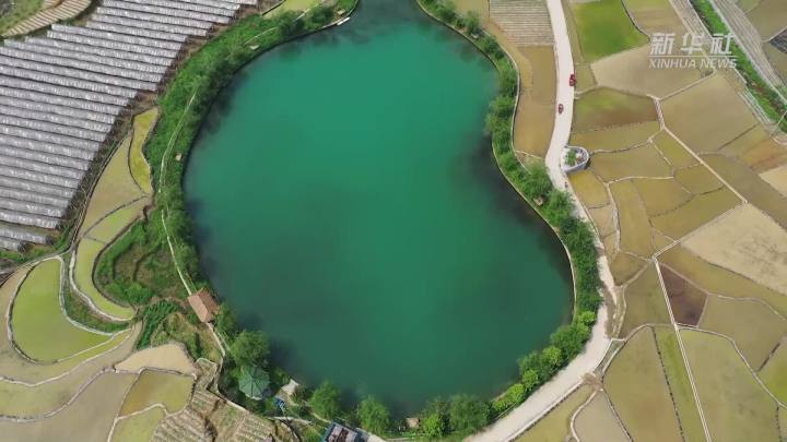 稻田新插，這里的山村美翻了！