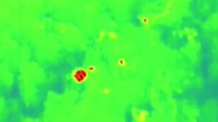 云南野生象群的奇幻之旅：紅外監(jiān)測(cè)&mdash;&mdash;夕陽鄉(xiāng)大雨 象群抱團(tuán)取暖