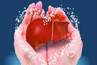 【健康解碼】轉(zhuǎn)氨酶正常肝臟就一定正常嗎？