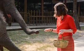 勐巴拉娜西！&ldquo;洋記者&rdquo;帶你游西雙版納