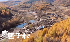 探秘關(guān)東人家，畫一個(gè)童話里的秋天