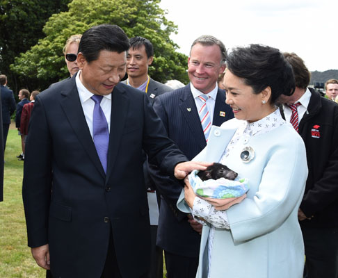 11月18日，國家主席習(xí)近平在澳大利亞塔斯馬尼亞州與朗塞斯頓市斯科奇－歐克伯恩小學(xué)的小學(xué)生共同植樹。這是習(xí)近平和夫人彭麗媛植樹后撫摸袋獾。新華社記者 馬占成 攝