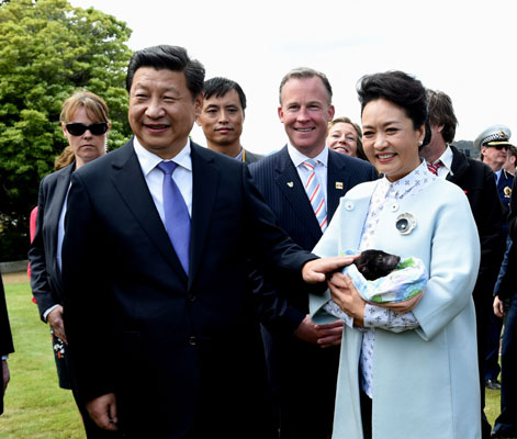 11月18日，國家主席習(xí)近平在澳大利亞塔斯馬尼亞州與朗塞斯頓市斯科奇－歐克伯恩小學(xué)的小學(xué)生共同植樹。這是習(xí)近平和夫人彭麗媛植樹后撫摸袋獾。新華社記者 饒愛民 攝