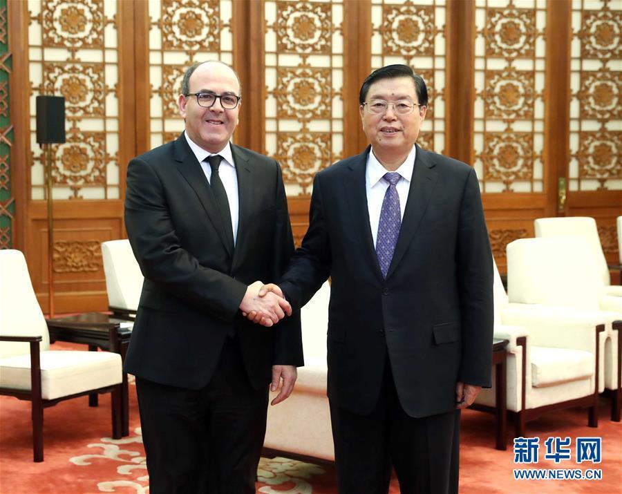 12月20日，全國人大常委會委員長張德江在北京人民大會堂會見摩洛哥參議長本希馬。新華社記者劉衛(wèi)兵攝