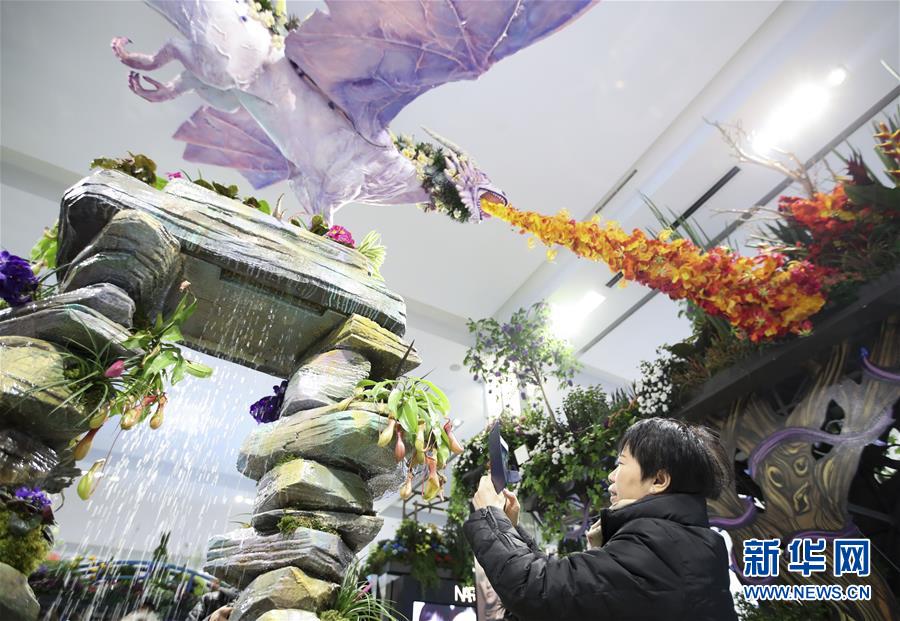 （國(guó)際）（3）紐約：&ldquo;春日童話&rdquo;花展亮相梅西百貨