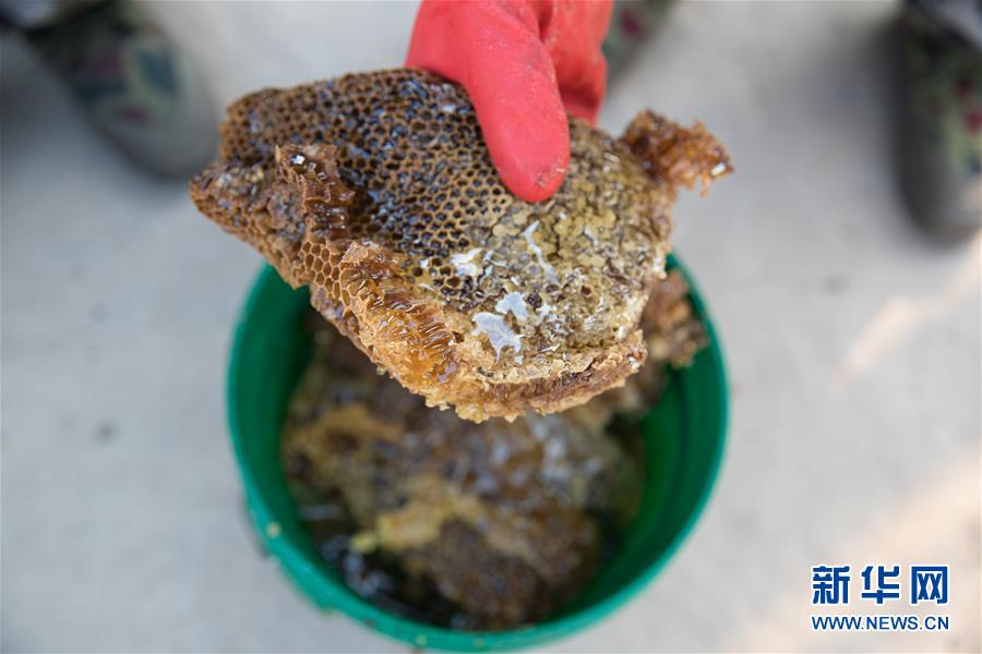 （國際&middot;聚焦進(jìn)口博覽會(huì)&middot;圖文互動(dòng)）（7）通訊：贊比亞蜂蜜企業(yè)欲借進(jìn)博會(huì)開拓中國市場