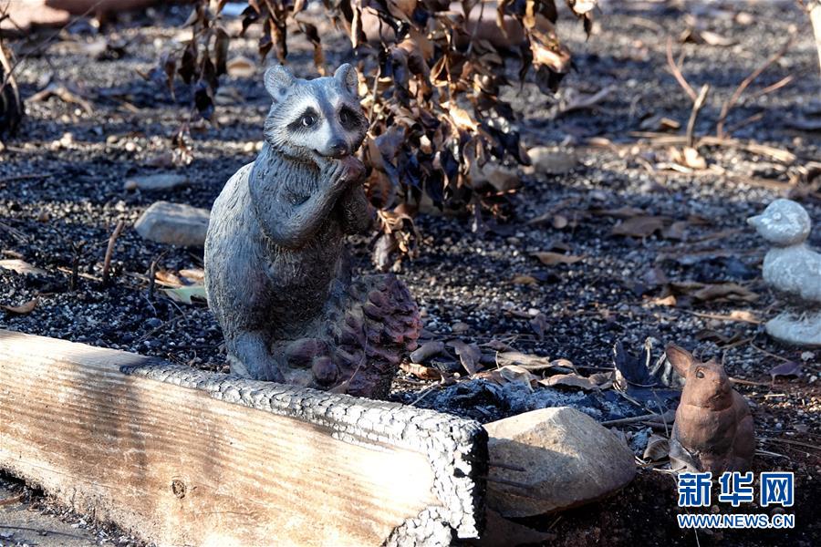 （國際&middot;圖文互動）（4）一場山火，讓這個冬天格外冷&mdash;&mdash;探訪美國加州山火災區(qū)
