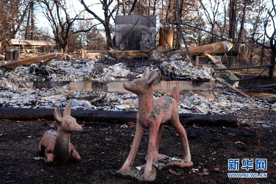 （國際&middot;圖文互動）（6）一場山火，讓這個冬天格外冷&mdash;&mdash;探訪美國加州山火災區(qū)