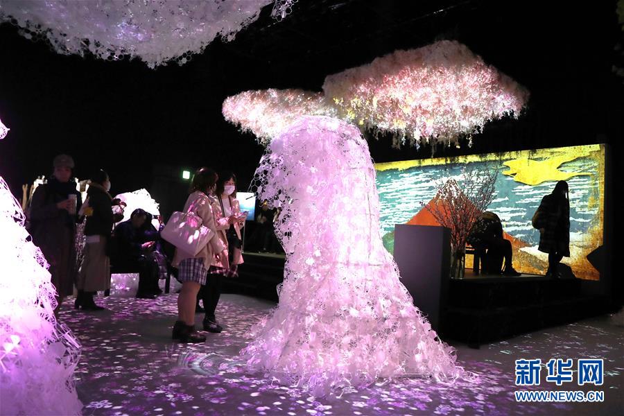 （國際）（1）日本東京：寒冬時(shí)節(jié)賞&ldquo;繁花&rdquo; 