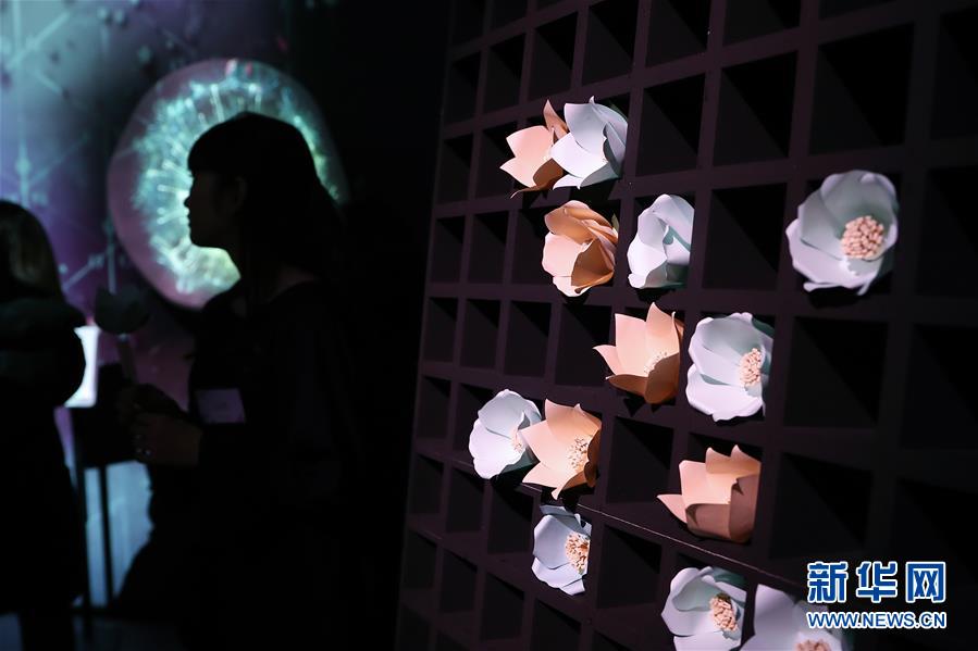 （國際）（3）日本東京：寒冬時節(jié)賞&ldquo;繁花&rdquo; 