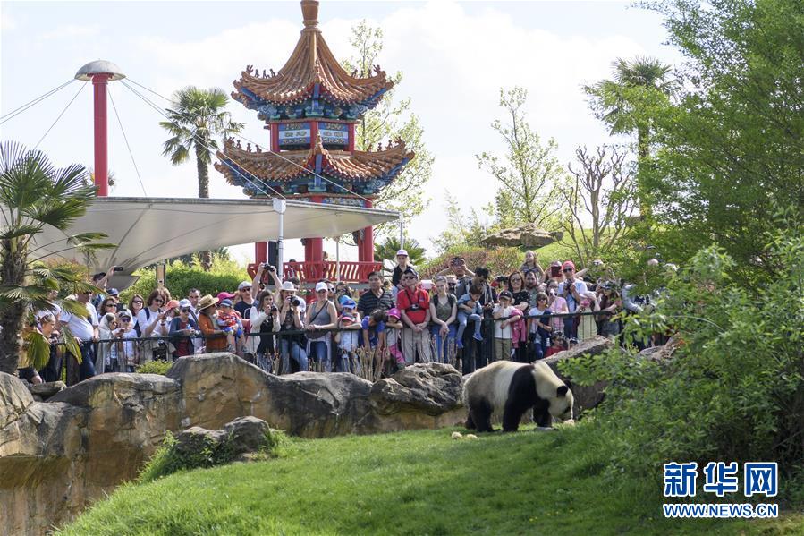 (習(xí)近平出訪配合稿·圖文互動)(2)綜述:互利共贏 敢為人先——中法關(guān)系行穩(wěn)致遠(yuǎn)