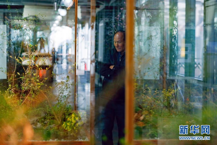 (國際·圖文互動(dòng))(4)通訊:敲響半島和平鐘聲——走訪韓朝非軍事區(qū)首爾藝術(shù)展