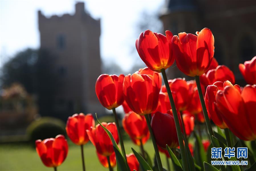 （國際&middot;北京世園會）（18）世界園林巡禮&mdash;&mdash;比利時拜加登城堡
