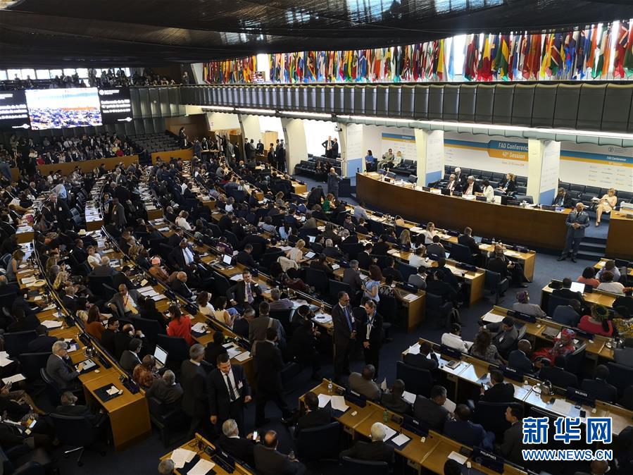 (國際)中國農(nóng)業(yè)農(nóng)村部副部長屈冬玉當(dāng)選聯(lián)合國糧農(nóng)組織總干事