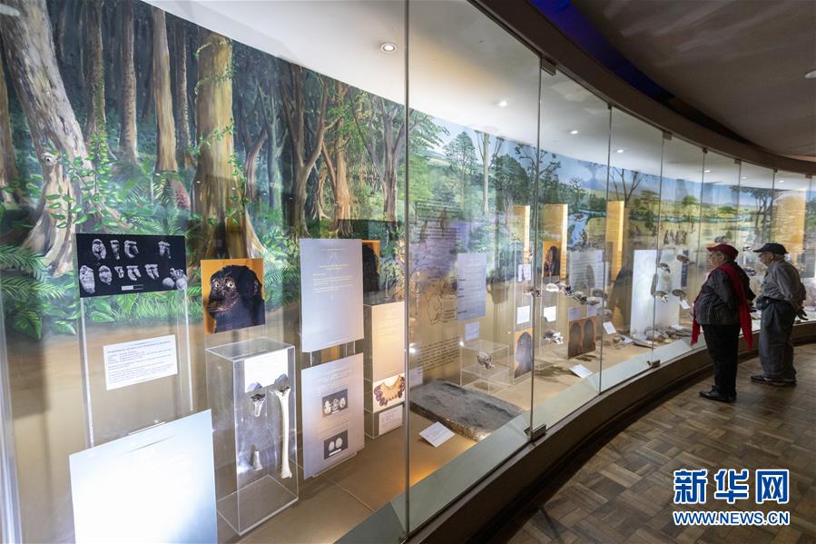 (國(guó)際)(9)探訪(fǎng)非洲博物館
