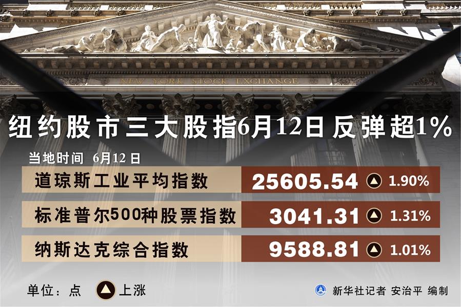 （圖表）［財(cái)經(jīng)&middot;行情］紐約股市三大股指6月12日反彈超1%