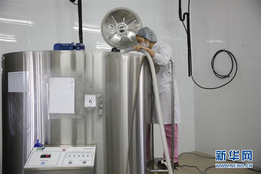 (國際·圖文互動)(4)從“先遣隊”到“正規(guī)軍”——哈薩克斯坦駱駝奶粉入華記