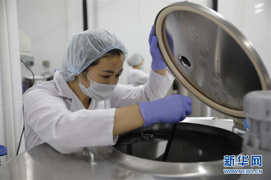 (國際·圖文互動)(5)從“先遣隊”到“正規(guī)軍”——哈薩克斯坦駱駝奶粉入華記