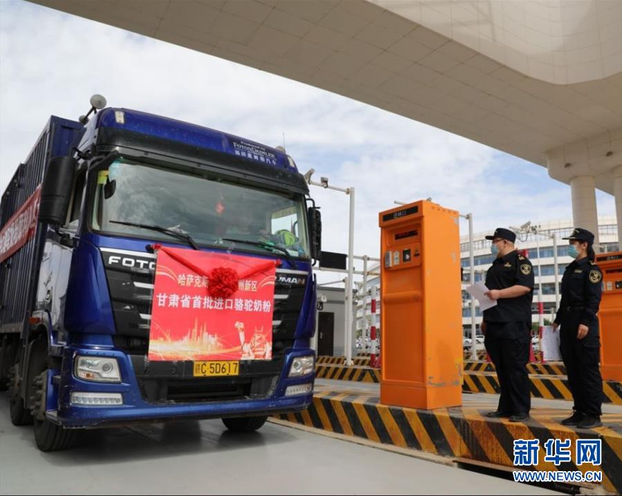 (國際·圖文互動)(7)從“先遣隊”到“正規(guī)軍”——哈薩克斯坦駱駝奶粉入華記