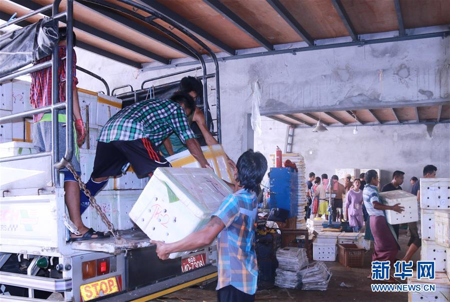 （新華全媒頭條&middot;圖文互動(dòng)）（7）中國&mdash;東盟自貿(mào)區(qū)：&ldquo;黃金十年&rdquo;塑造世界經(jīng)貿(mào)新格局