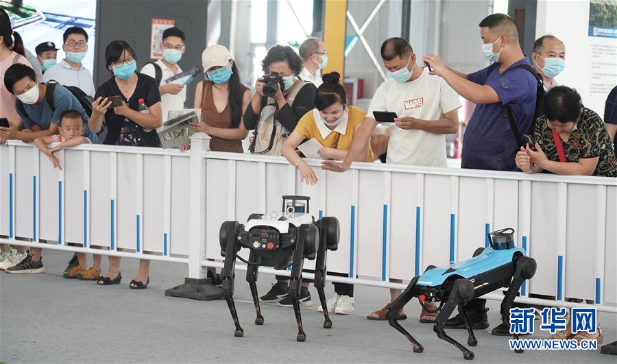 （2020服貿(mào)會）（19）各顯神通的&ldquo;機器伙伴&rdquo;