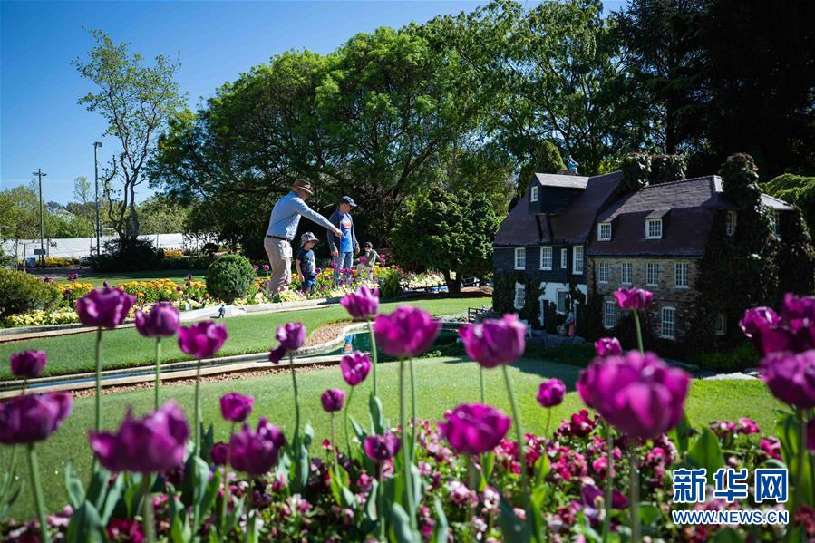 (XHDW·圖文互動(dòng))(2)通訊:“無(wú)處不在的鮮花為我們帶來(lái)歡樂(lè)和希望”——“小人國(guó)”里的堪培拉花展