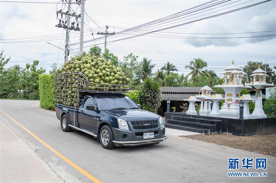 （第三屆進(jìn)博會(huì)&middot;圖文互動(dòng)）（1）通訊：椰香飄進(jìn)進(jìn)博會(huì) 市場(chǎng)開放共繁榮&mdash;&mdash;一名泰國(guó)椰商的心聲
