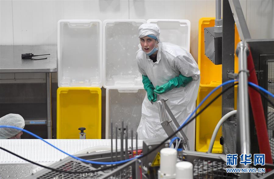 （第三屆進(jìn)博會(huì)&middot;圖文互動(dòng)）（2）通訊：新西蘭的進(jìn)博會(huì)味道，甜