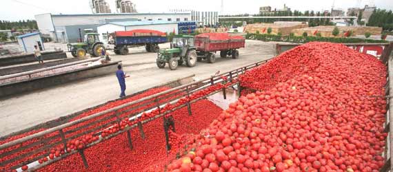 中國推動構(gòu)建共贏、互信、發(fā)展的新絲綢之路