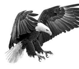 誰是世界秩序的真正破壞者？