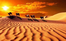 自然延伸 揚(yáng)帆遠(yuǎn)航&mdash;&mdash;"一帶一路"的拉美故事