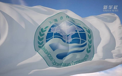 你好，上合！