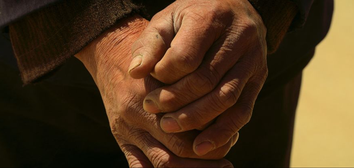 正式發(fā)布！《攜手，為人民》中國共產(chǎn)黨與世界政黨領(lǐng)導(dǎo)人峰會暖場片