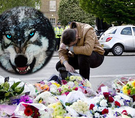 血案頻發(fā) "獨(dú)狼"緣何兇猛？