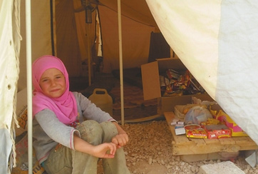 化武指控驚動(dòng)國際社會(huì)