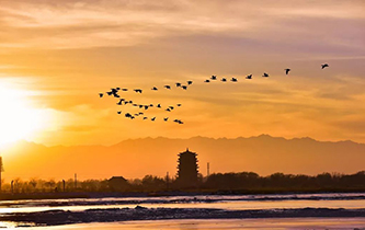 你想看的風(fēng)景，這里都有